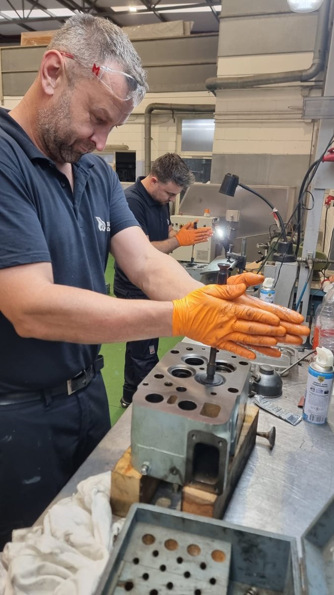 Imagen de Capitol 12 - 2024